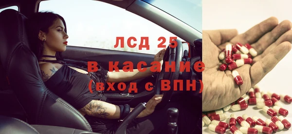 тгк Дмитровск