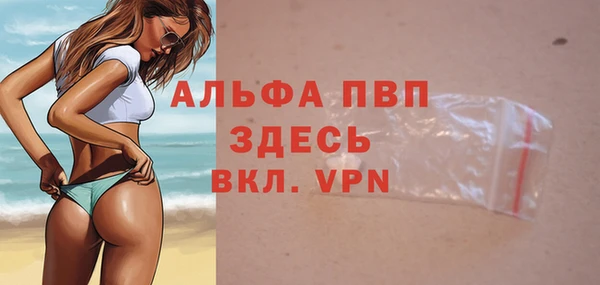 дмт Гусев