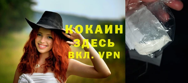 дмт Гусев