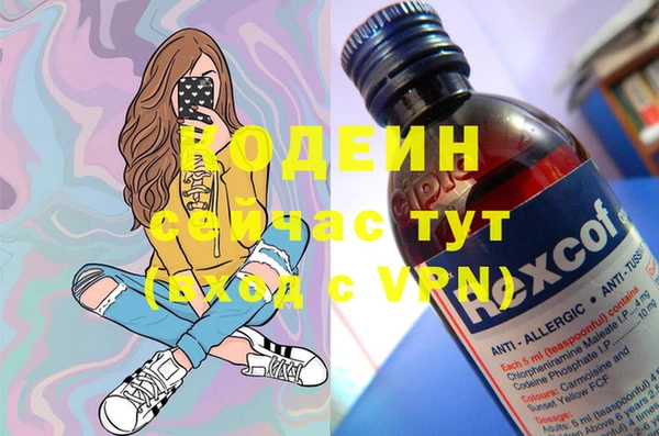 дмт Гусев