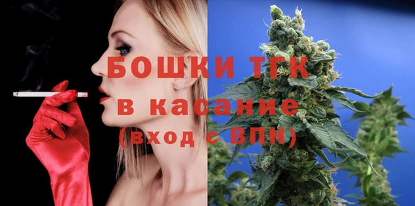 дмт Гусев