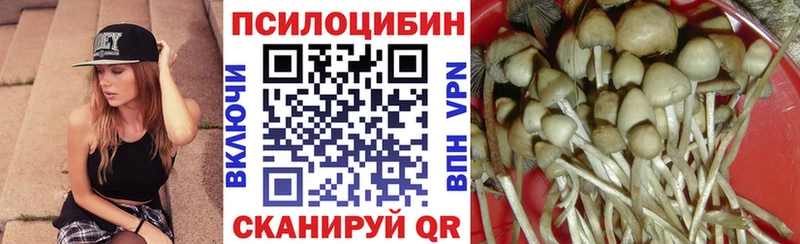 Купить  Льгов  Галлюциногенные грибы мицелий 
